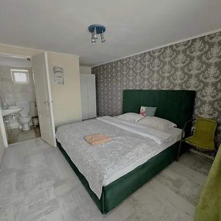 Individuale Cu Baie Proprie In ゲストハウス 3*