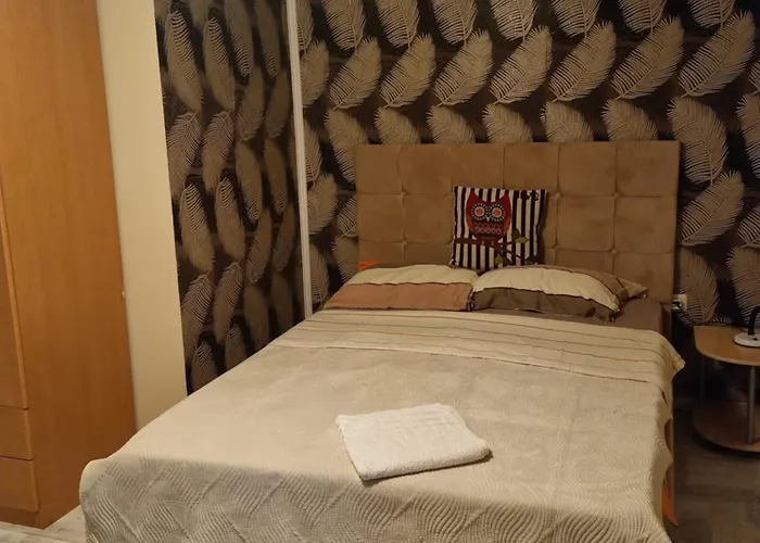 Casa de hóspedes Individuale Cu Baie Proprie In Timişoara